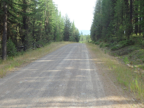 GDMBR: Southbound SW on NF-9991 (abeam Condon, MT).